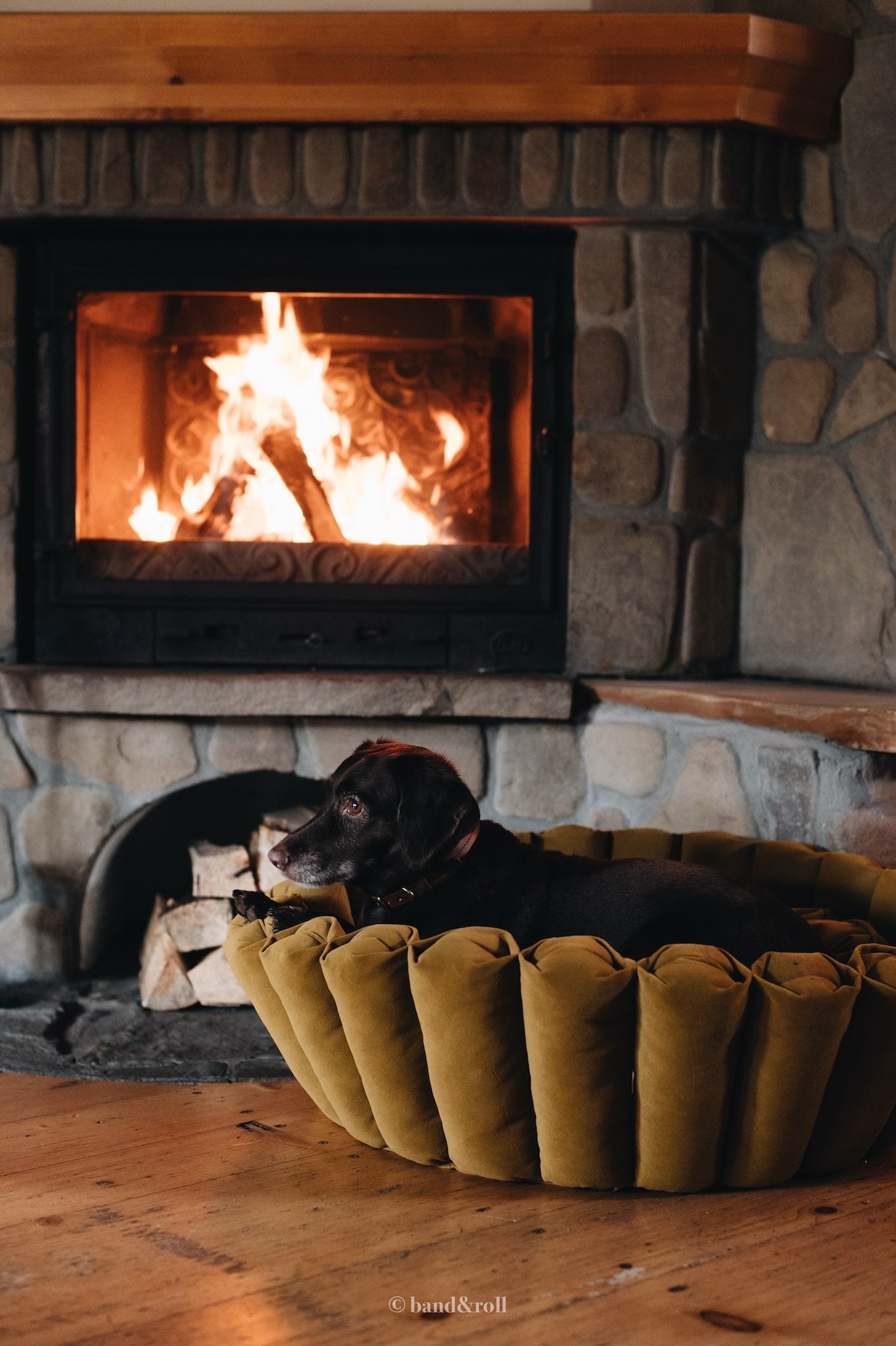 MODERN DOG BED. HAVEN