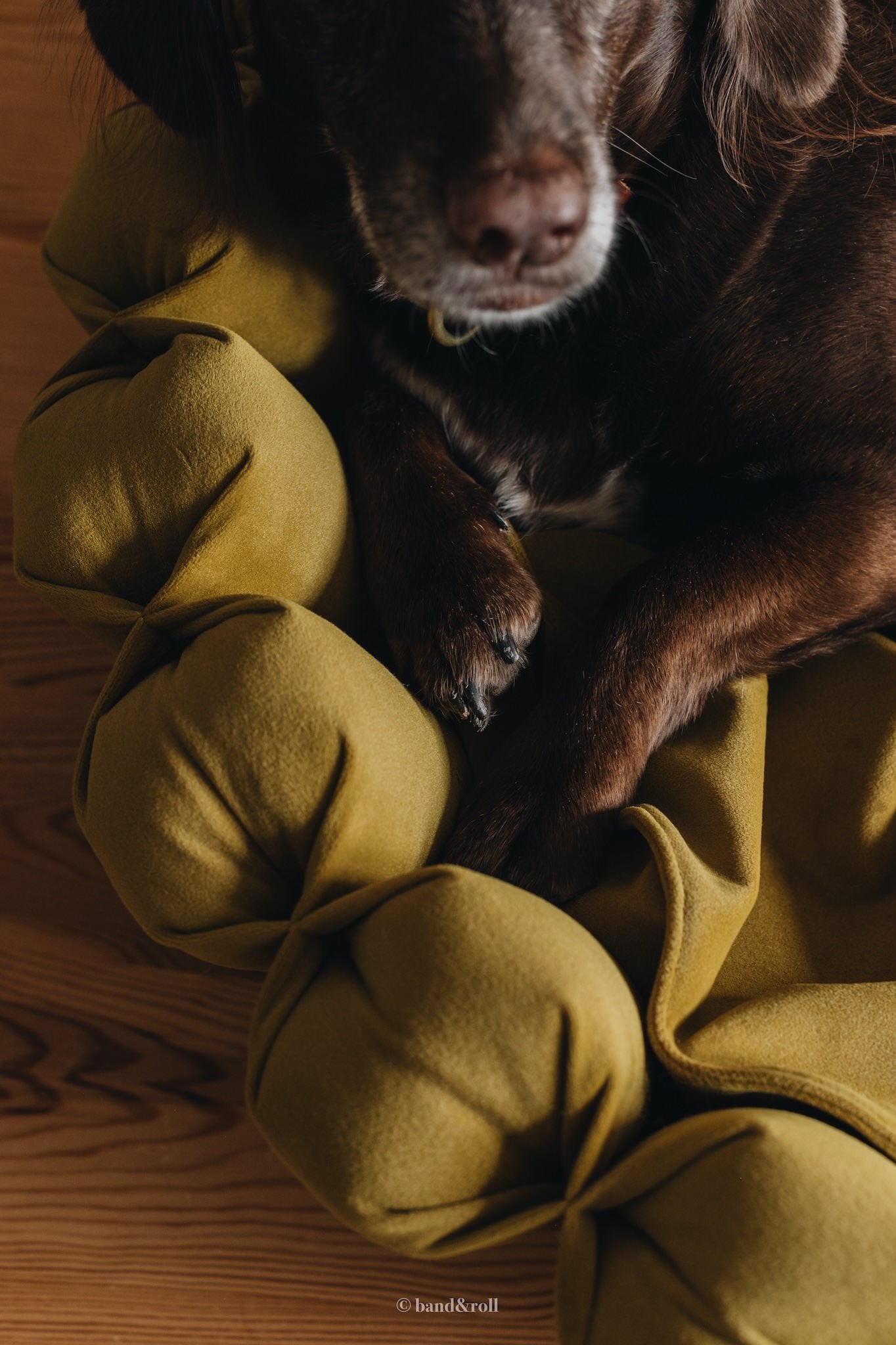 MODERN DOG BED. HAVEN