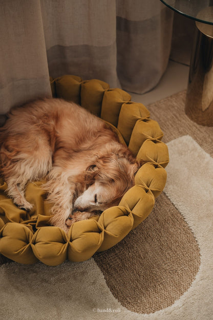 MODERN DOG BED. HAVEN