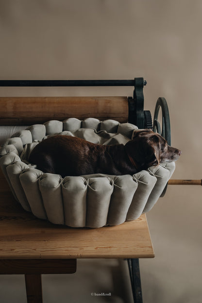 MODERN DOG BED. HAVEN