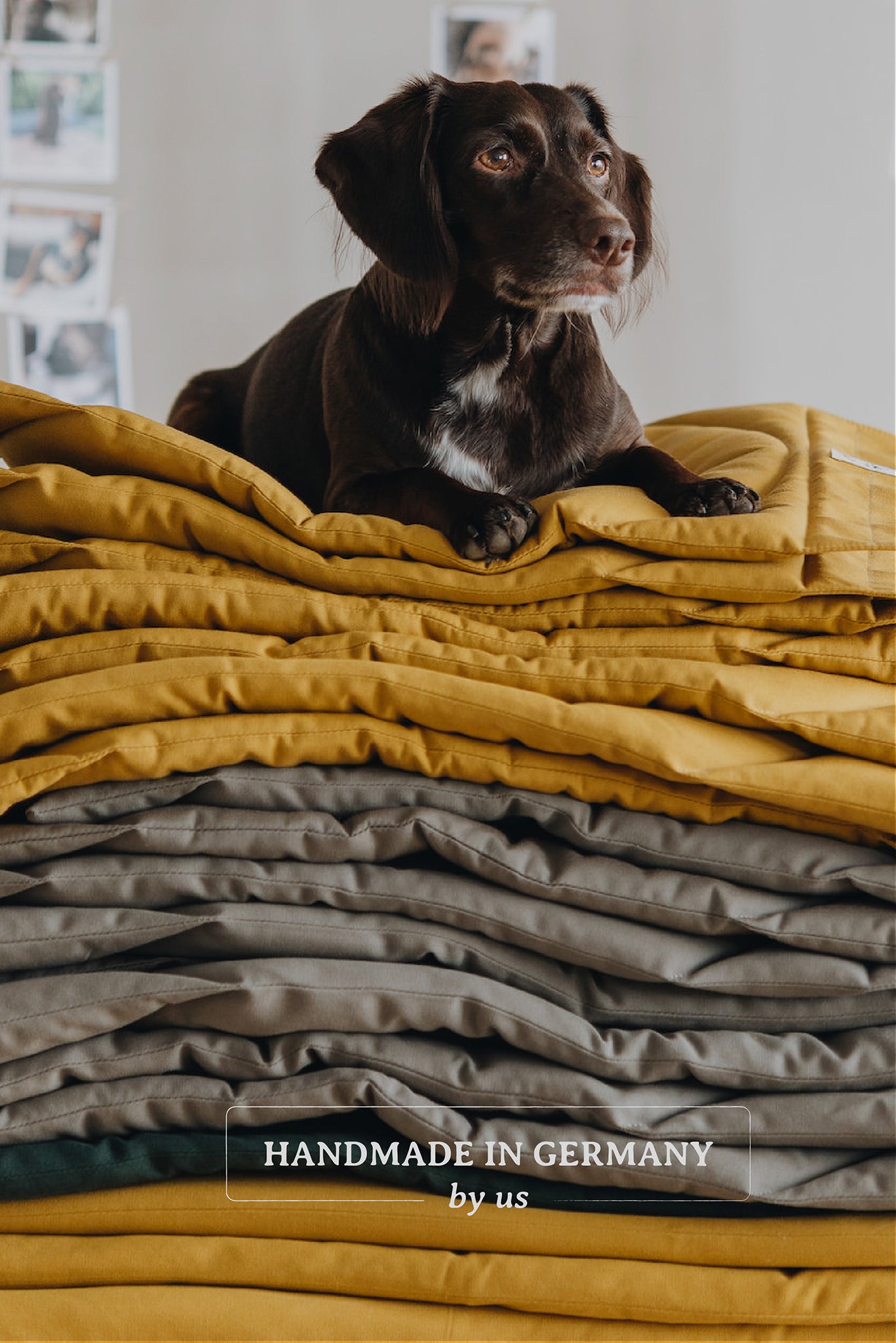 Travel dog outlet blanket