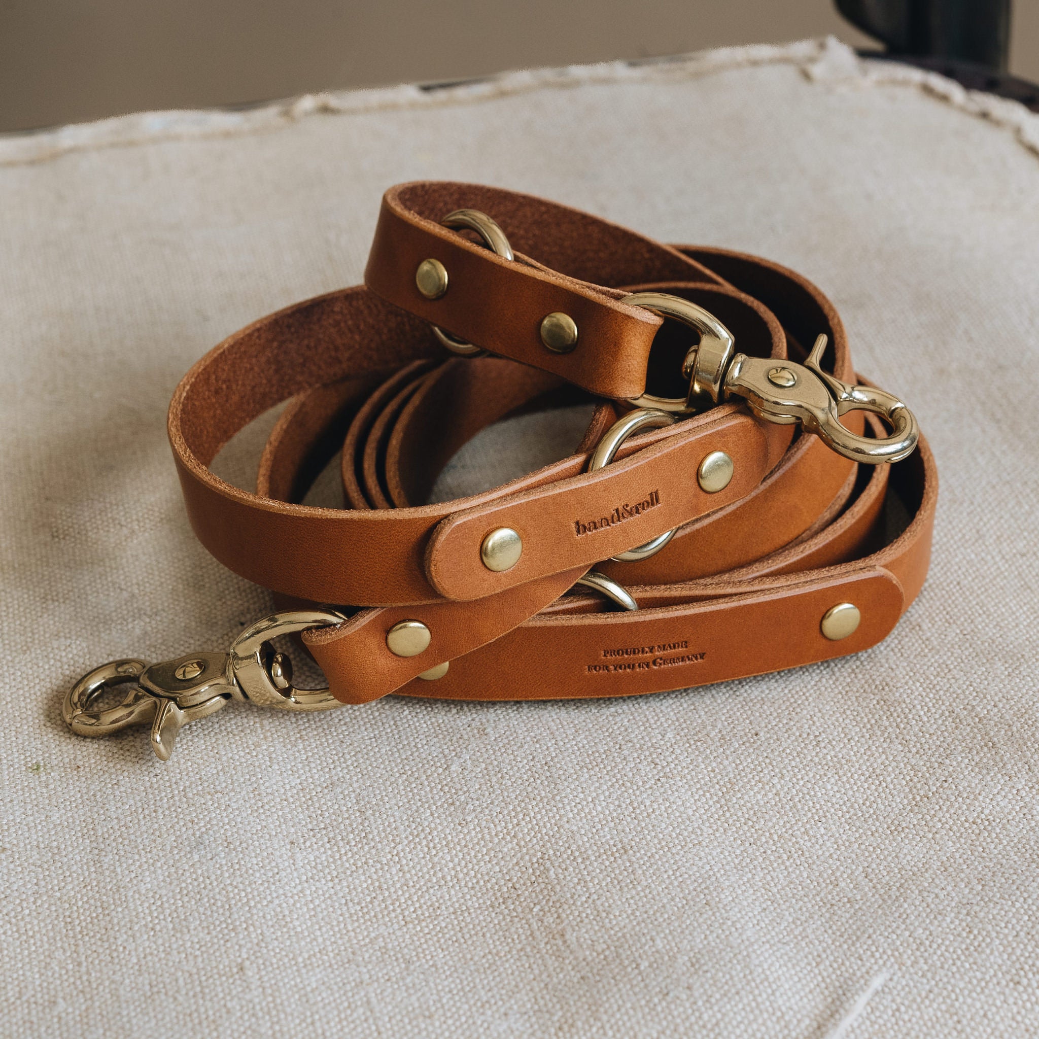 Lasso dog outlet leash